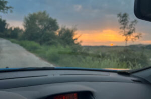 view of the sunset from a moving car, italy