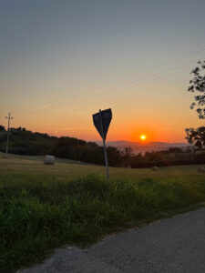 crooked road sign during sunset